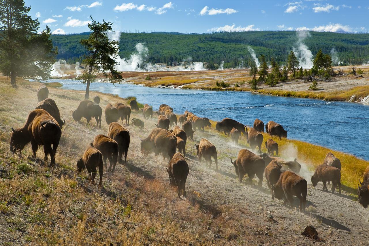 1872 Inn - Adults Exclusive West Yellowstone Eksteriør bilde